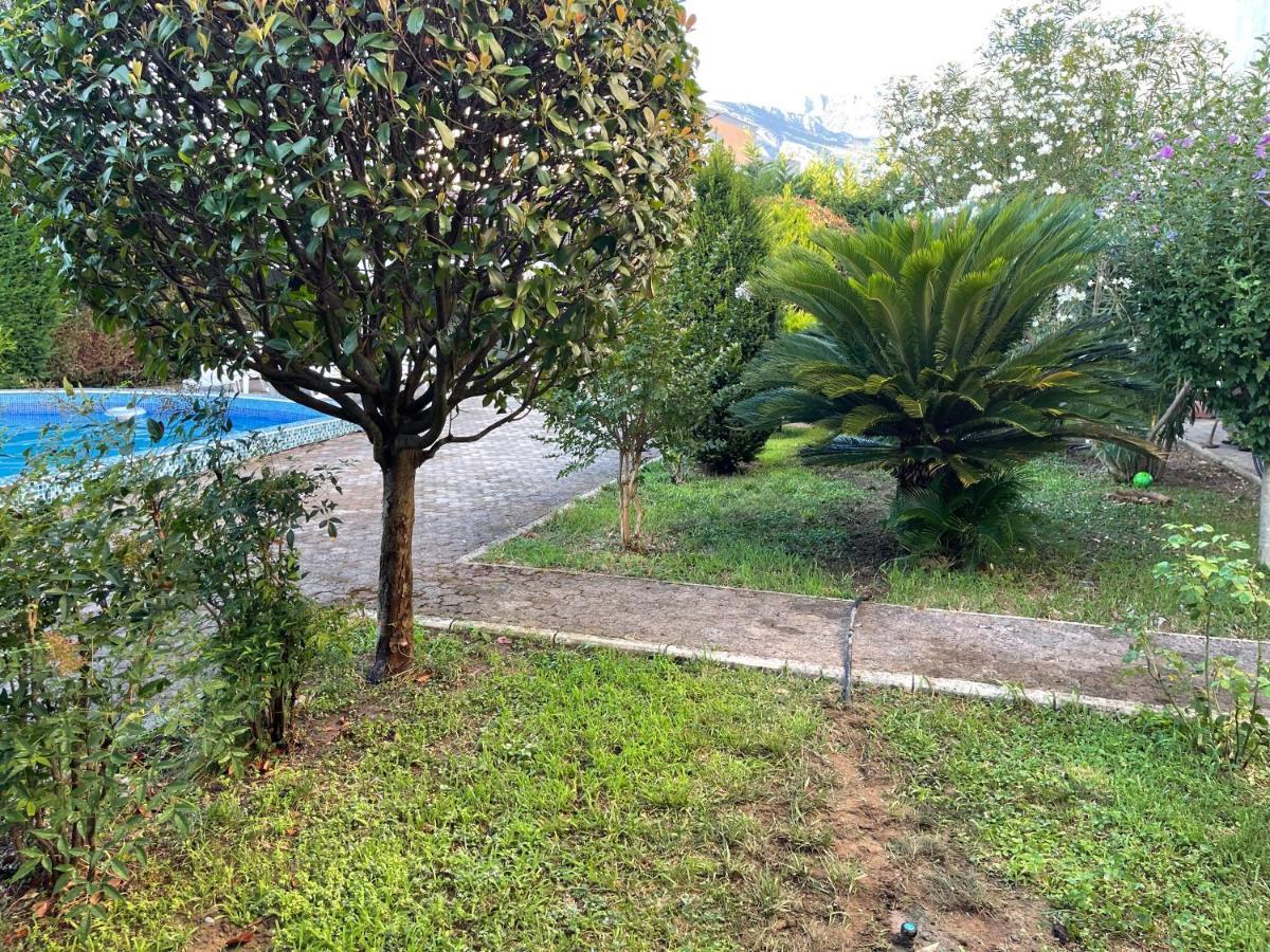 3 Bedroom Apartment With Pool Celuga Buitenkant foto