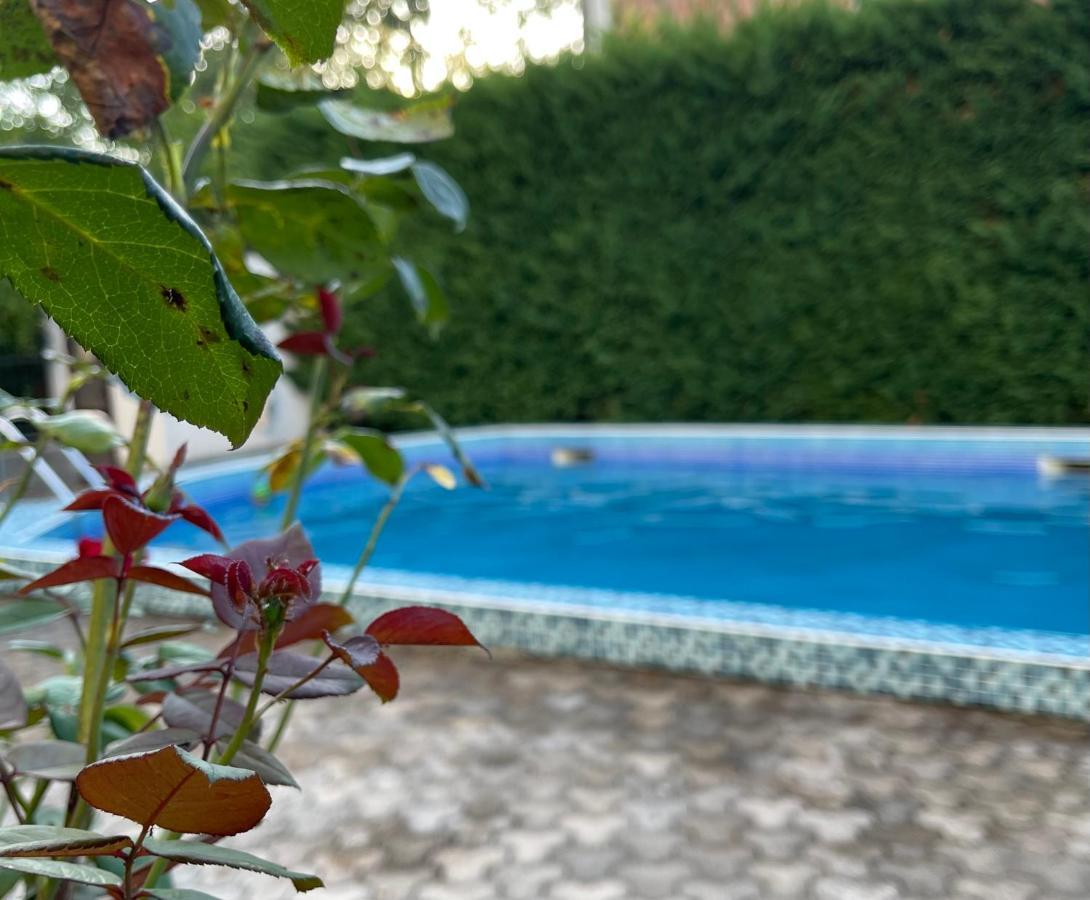 3 Bedroom Apartment With Pool Celuga Buitenkant foto