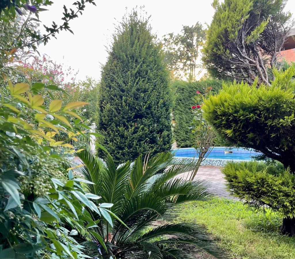 3 Bedroom Apartment With Pool Celuga Buitenkant foto
